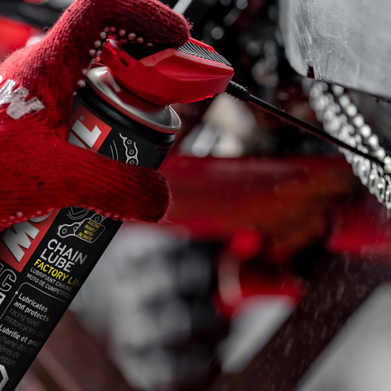 Maintenance & Detailing